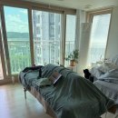 화정중기 | 임산부 다리 붓기 케어, 파주출장산전마사지 받아본 솔직후기✨