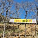 만덕산 등산로 입구 | [강진] 만덕산 등산코스 : 백련사 동백꽃 축제와 함께한 1박 2일 4산의 마침표 🌺