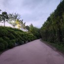 경안근린공원 농구장