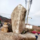 광양 매화축제/구례 산수유/화엄사 무박 다녀와서 이미지