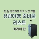 세정민박 | [DAY 00] 한 달 유럽여행 캐리어 준비물 리스트｜캐리어 26인치? 28인치?