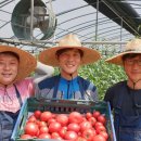 승우농장 이미지