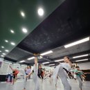 용인대월드태권도장 이미지