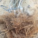 모후농장 이미지