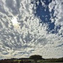 표선면-5 | [제주 서귀포시 표선면 ] ▶ 목장카페 밭디◀ 체험_내돈내산_솔직후기_ _별 5