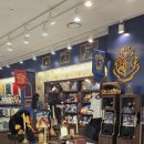 현대백화점 | 해리포터 팝업스토어 판교 현대백화점 후기