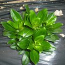 영산수련원 이미지