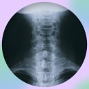 작은나무한의원 이미지