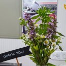 남대실오리촌 이미지