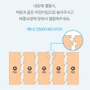 개인화물350 | [알집매트] 34평 거실 알집 더블제로 매트 350X280 내돈내산 실사용 후기