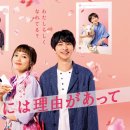 사랑이유통 이미지