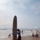 자바렌탈 | 바투카라스 여행_ 경비행기 Susi Air, 에어비엔비, 서핑, Hangfive coffee, 오토바이 렌탈 후기_ 202405