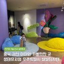 생태공원편의점 | 충북 괴산 생태뮤지엄 어린이 무료 체험형 전시 우주특별시 별별탐사대