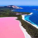 미들아일랜드(middle island) 이미지