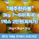 몽땅365