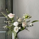 보태니컬 플랜(Botanical Plan) 이미지