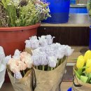 관악공판장 이미지