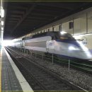 수원-1729 이미지