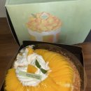 썬의지보조기의료기 | 성심당 망고타르트 망고시루와 비교 맛,가격 케익부띠끄 주말웨이팅