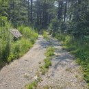 태백 낙동정맥 구봉산(九鳳山.九峰山, 910m) 산행 #1 이미지