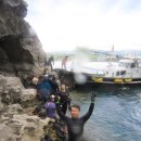 오션트리 이미지