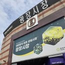 육회광장 | 광장시장 넓찍한 형제육회 내돈내산 후기