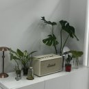 더(The)특별한날