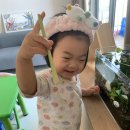 경산농약백화점 네이버블로그