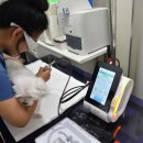 24시건국본동물병원 네이버블로그