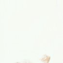 마굿간 이미지