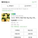 제주도청귤로 청귤청 만들기(베리타임청귤)