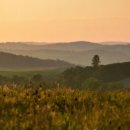 디오메디칼 이미지