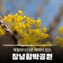 효자어린이공원 | 계절마다 다른 매력이 있는 창녕 영산 함박공원 산책 후기