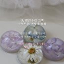 블루밍메모리 이미지