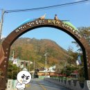 금대유원지 네이버블로그