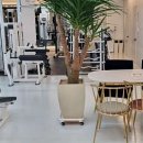 제이블래시짐 이미지