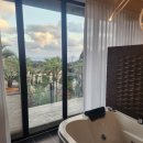 밀크인제주 이미지