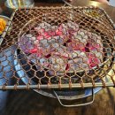 순천 조례동 맛집 숮불에 구워먹는 닭발맛집 취중닭발 찐후기