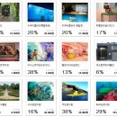 루멘하우스 이미지