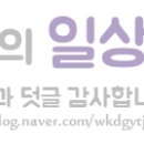 세븐일레븐 강릉상아점 이미지