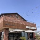 구억농장 | 용진 카페] 팜카페 체험 농장이 있는 “본앤하이리” 맛있는 빵과 음료가 가득! 예쁜 로컬카페...