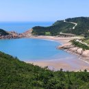 플로피아 이미지