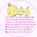 연희유치원 이미지
