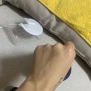 파파손케어 이미지
