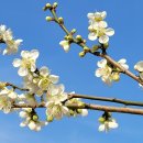 (주)막고야 이미지