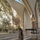 오늘은 헤어 | 로쉬 헤어 메이크업 | 스튜디오 촬영 신부 헤어 후기_피스 추가, 염색, 커트 팁, 가성비 스드메