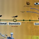 11545-11-35-04 | 호주 교환 #04 | 3박 4일 멜버른 여행