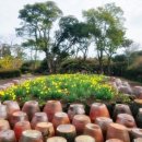 하나로3길 | 제주 가족여행 2박 3일 후기 기사 포함 차량 하나로 완벽하게 해결