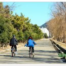 을숙도 생태공원 이미지