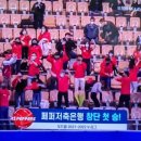 철봉제 이미지